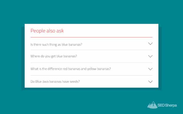 Google People Also Ask Feature