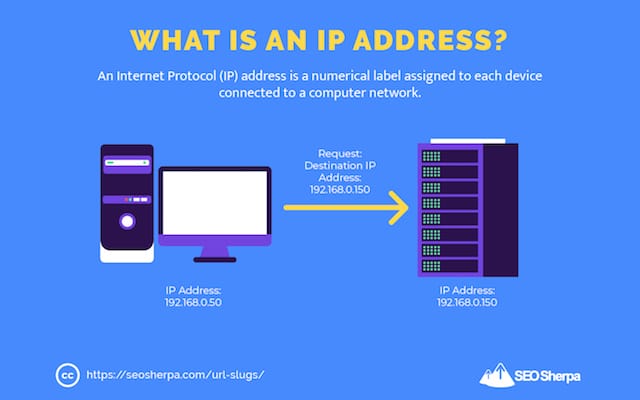 What is an IP address