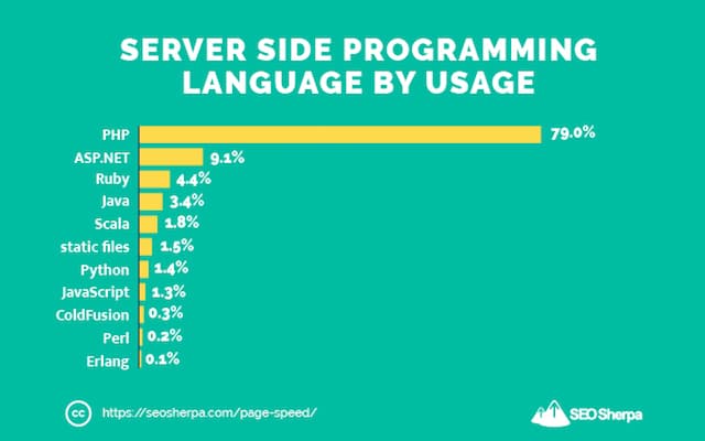 Website Programming Language Usage