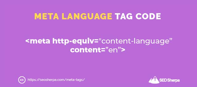 Meta Language Tag Code