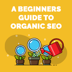 Organic SEO Beginners Guide
